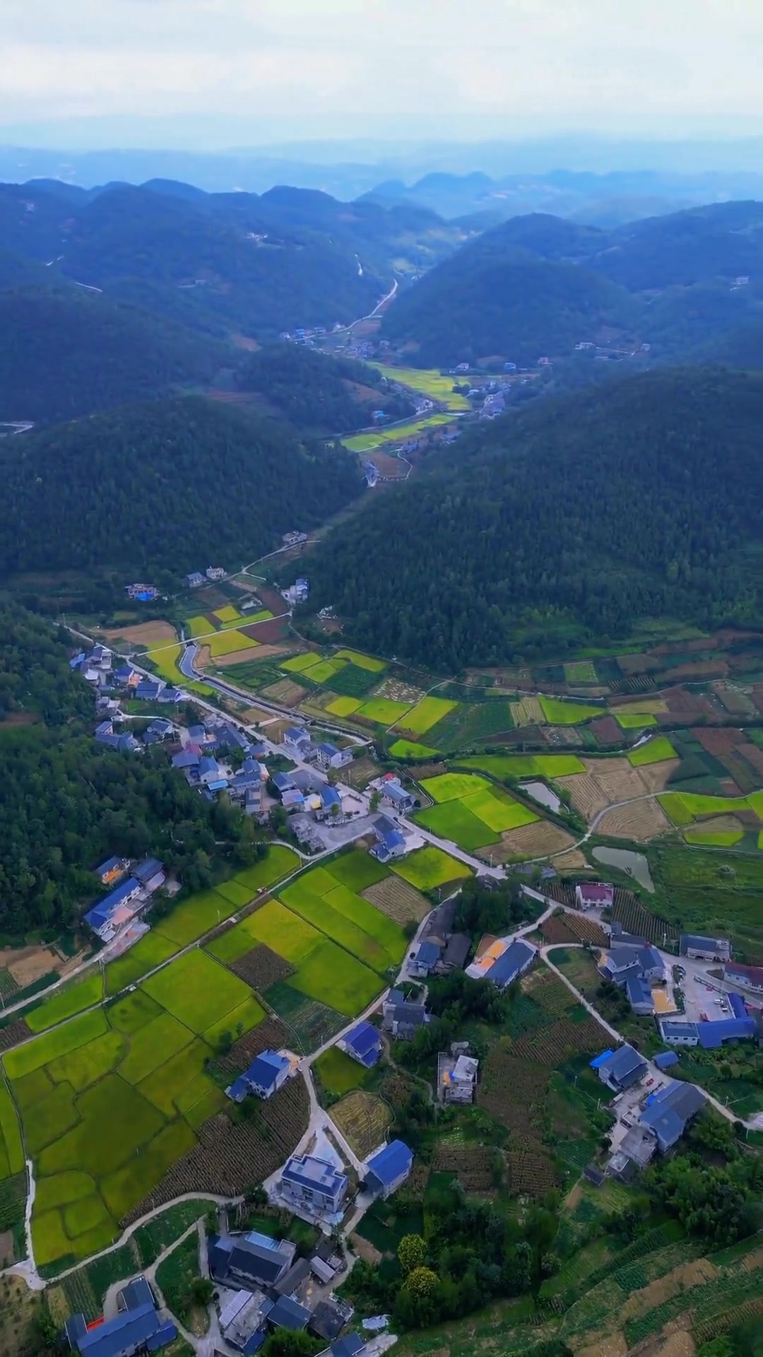 湖北避暑重镇建始花坪藏着一个鱼米之村