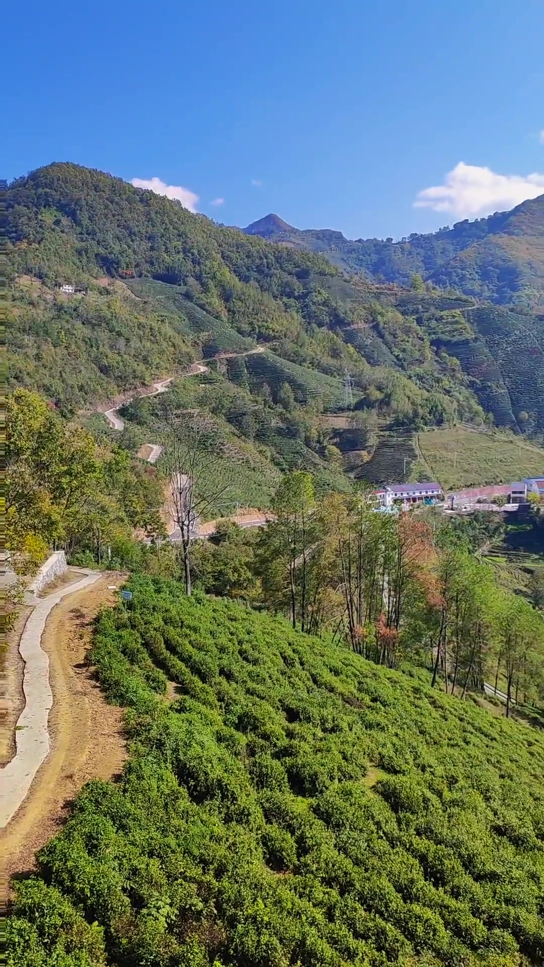 陕南的山水邂逅陕北的情怀,我就爱这调调