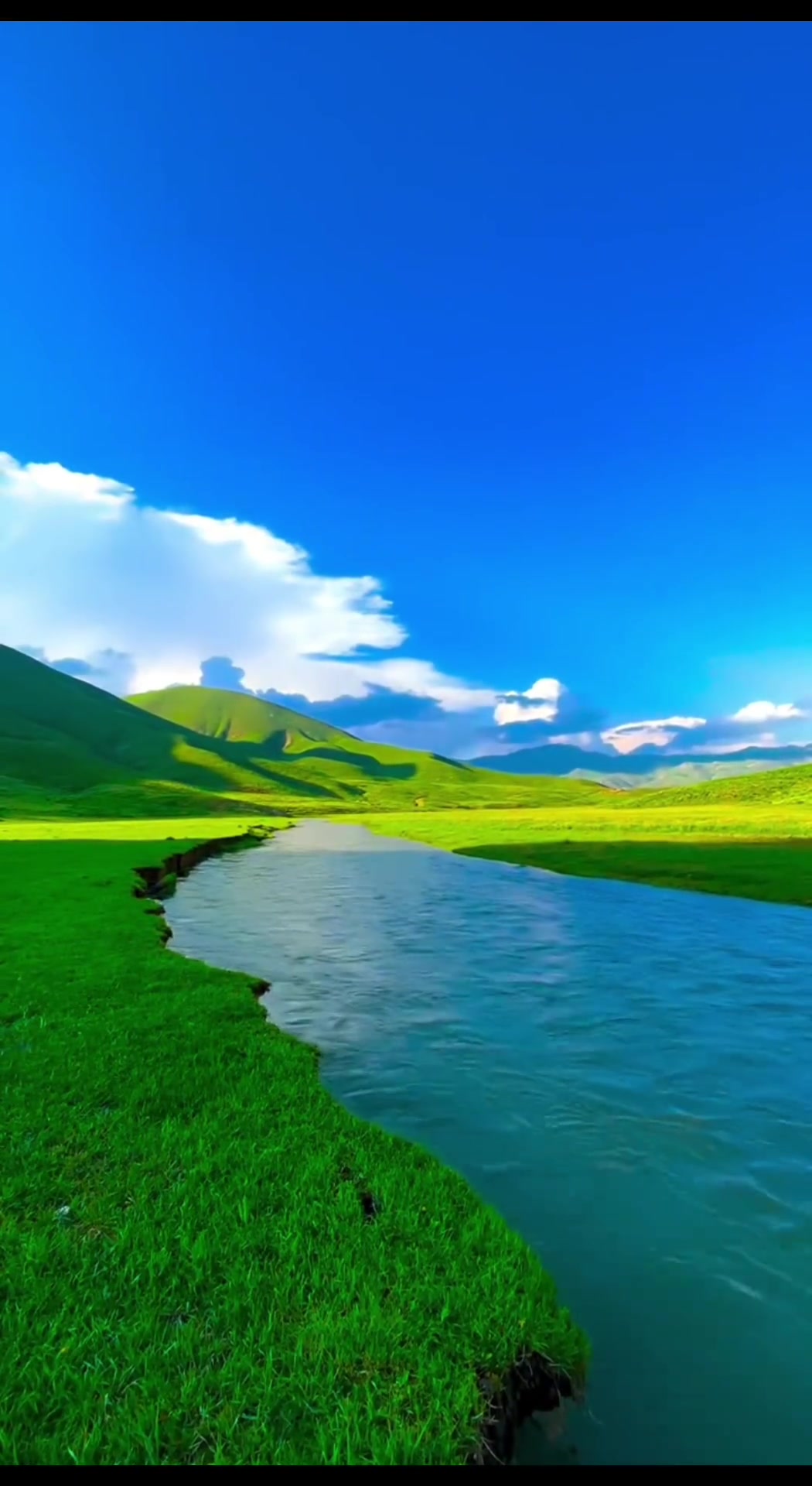 新疆蓝天白云绿草地,随走随拍感受大自然之美