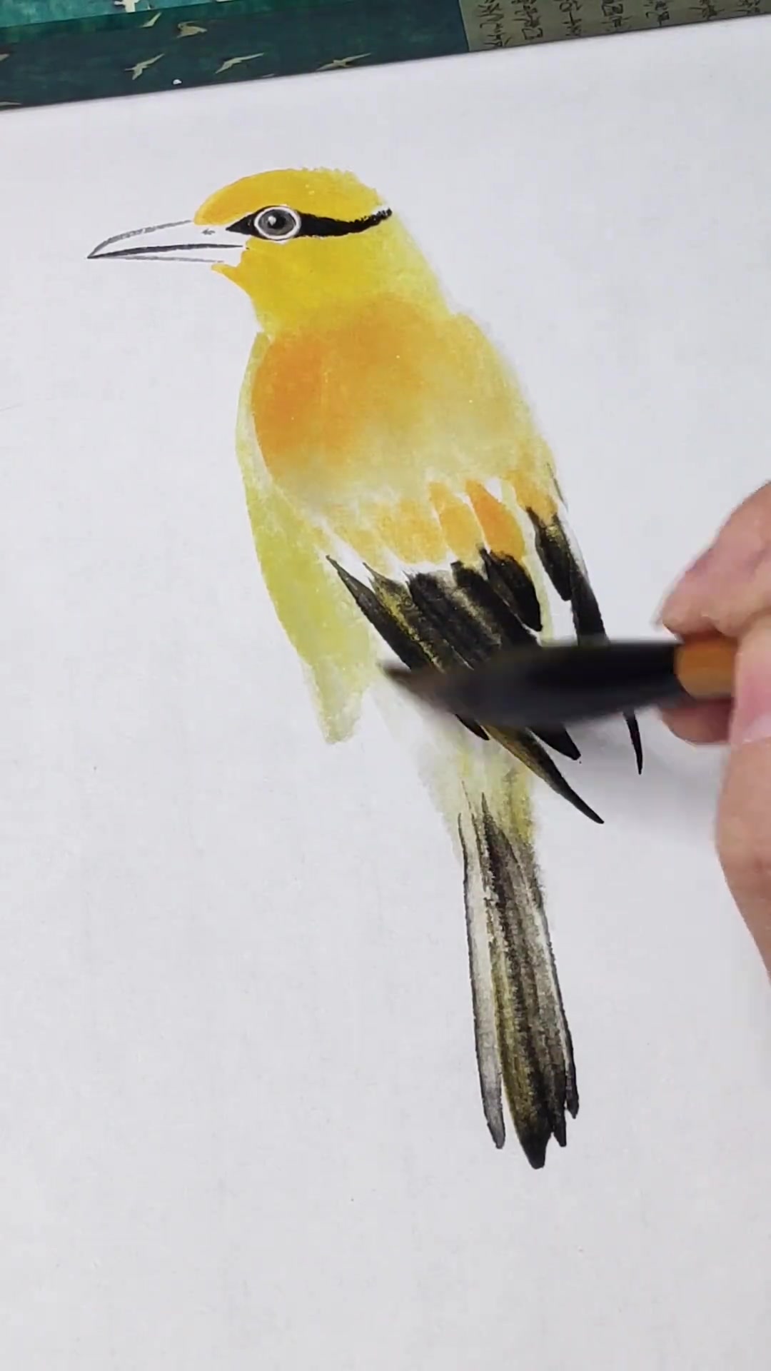 一学就会黄鹂鸟国画写意画法