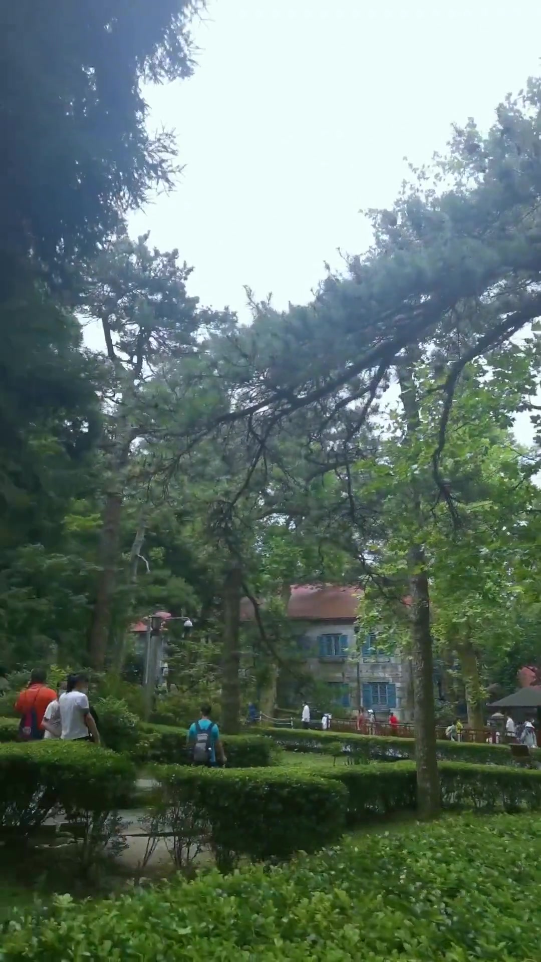 打卡庐山美庐别墅,感受别样的历史韵味