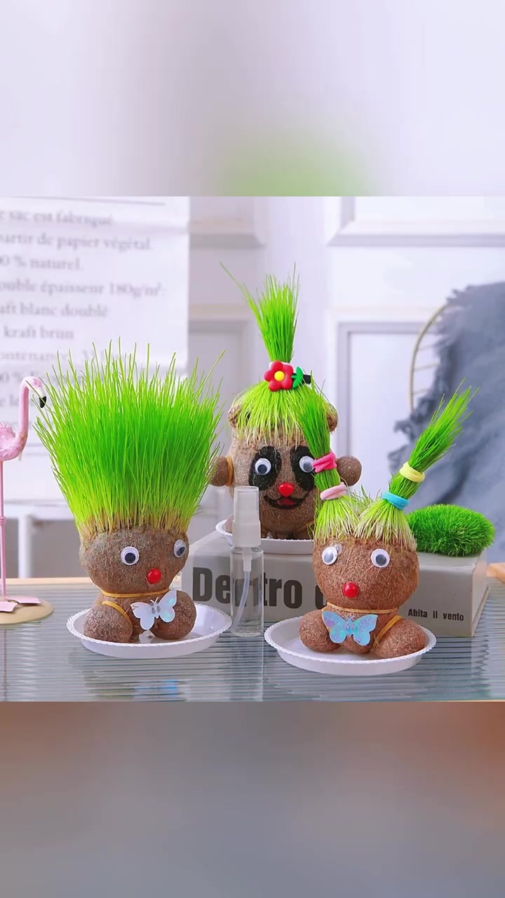 草头娃娃头上长草娃娃儿童种植小盆栽种草绿植观察植物生长幼儿园