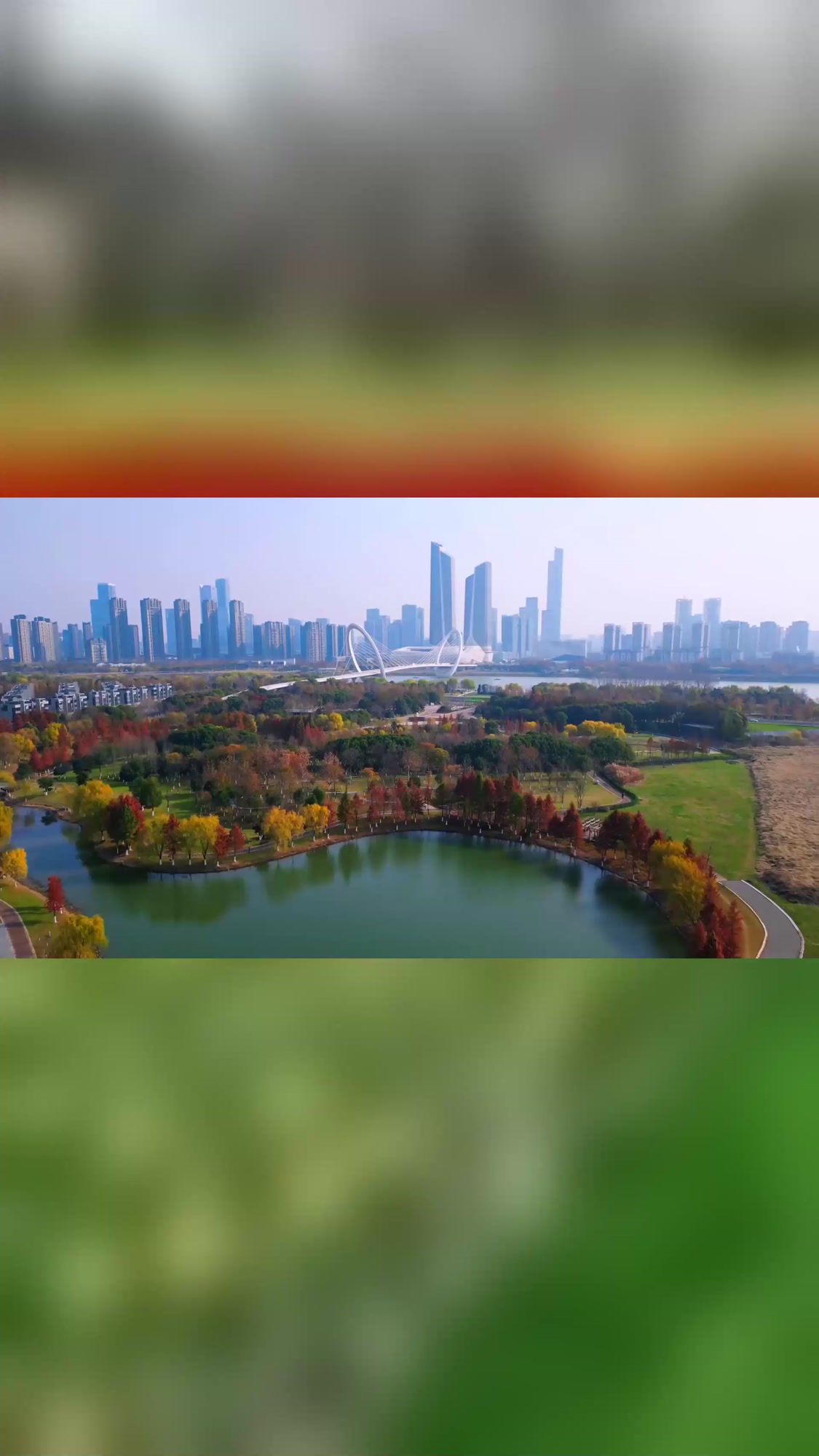 秋季出游,航拍南京江心洲滨河湿地公园