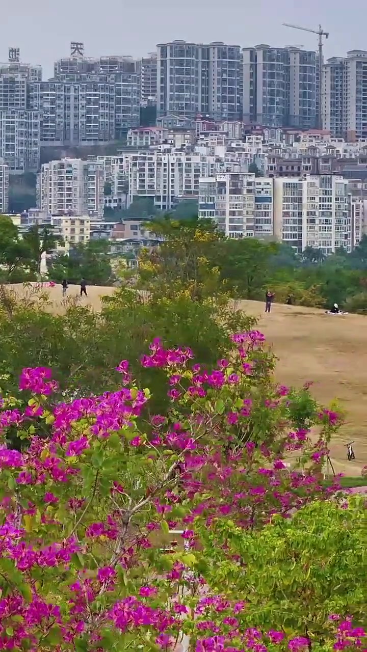 南宁灵龟山公园大,多处打卡地等你来