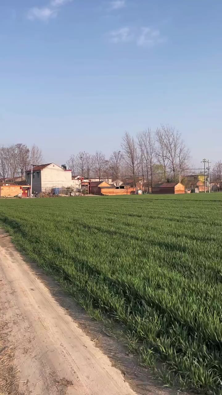为什么河南人最想家?河南 农村老家 故乡的原风景
