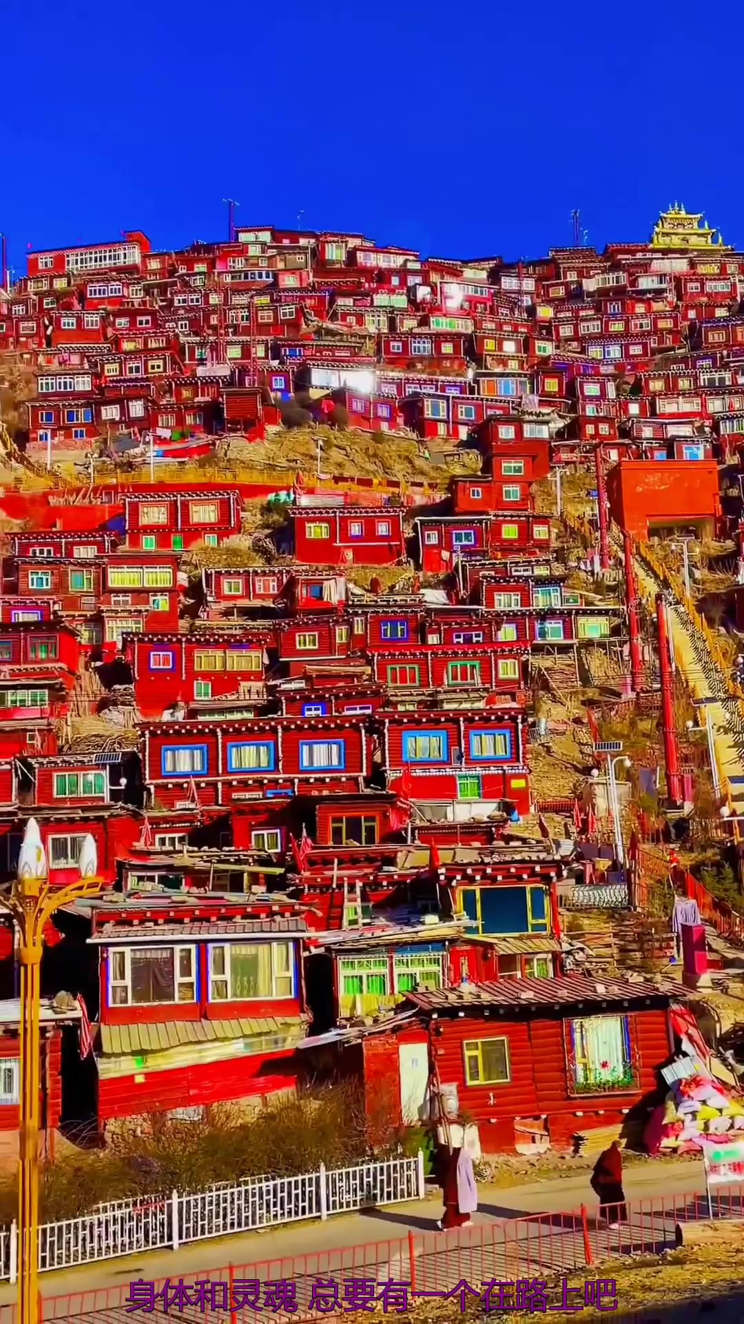 五明佛学院超度-五明佛学院智悲佛网首页官网入口