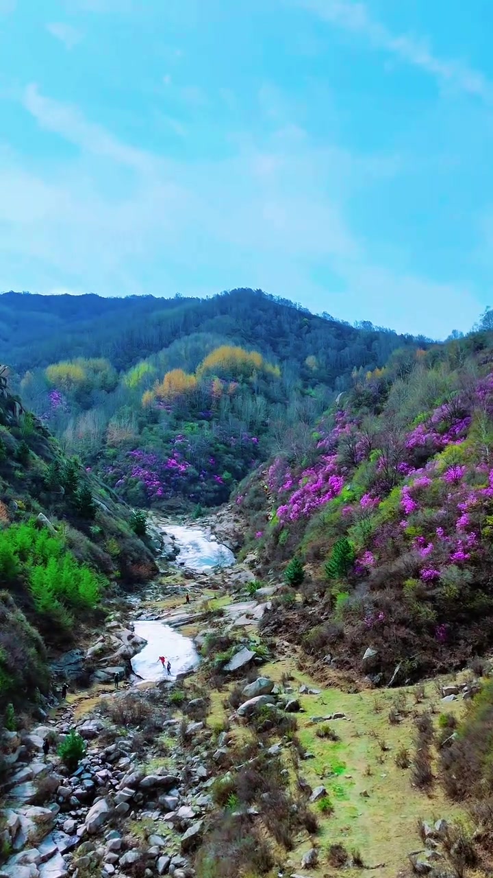 涞源石窝村的杜鹃花,呈现山清水秀之景