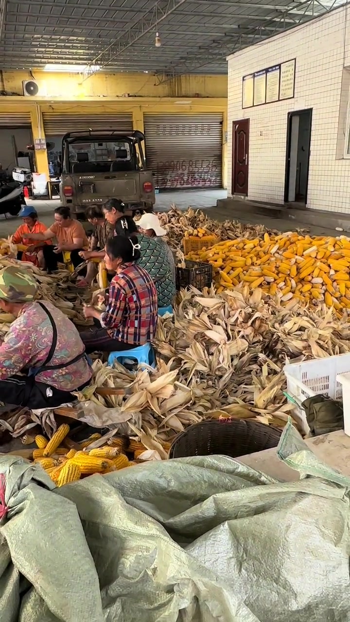 你老妈有没喊你回家搬包谷了!