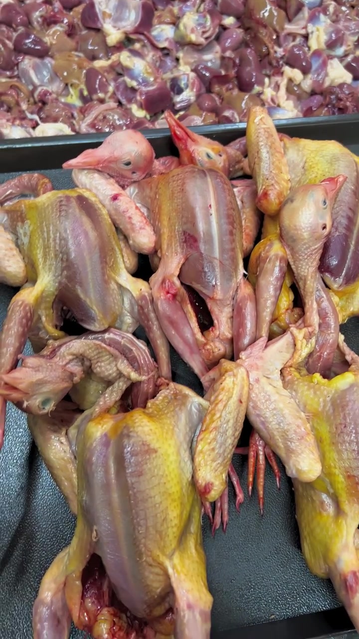 青年鸽烹饪指南,鸽子炖土豆干煸啥的超香!