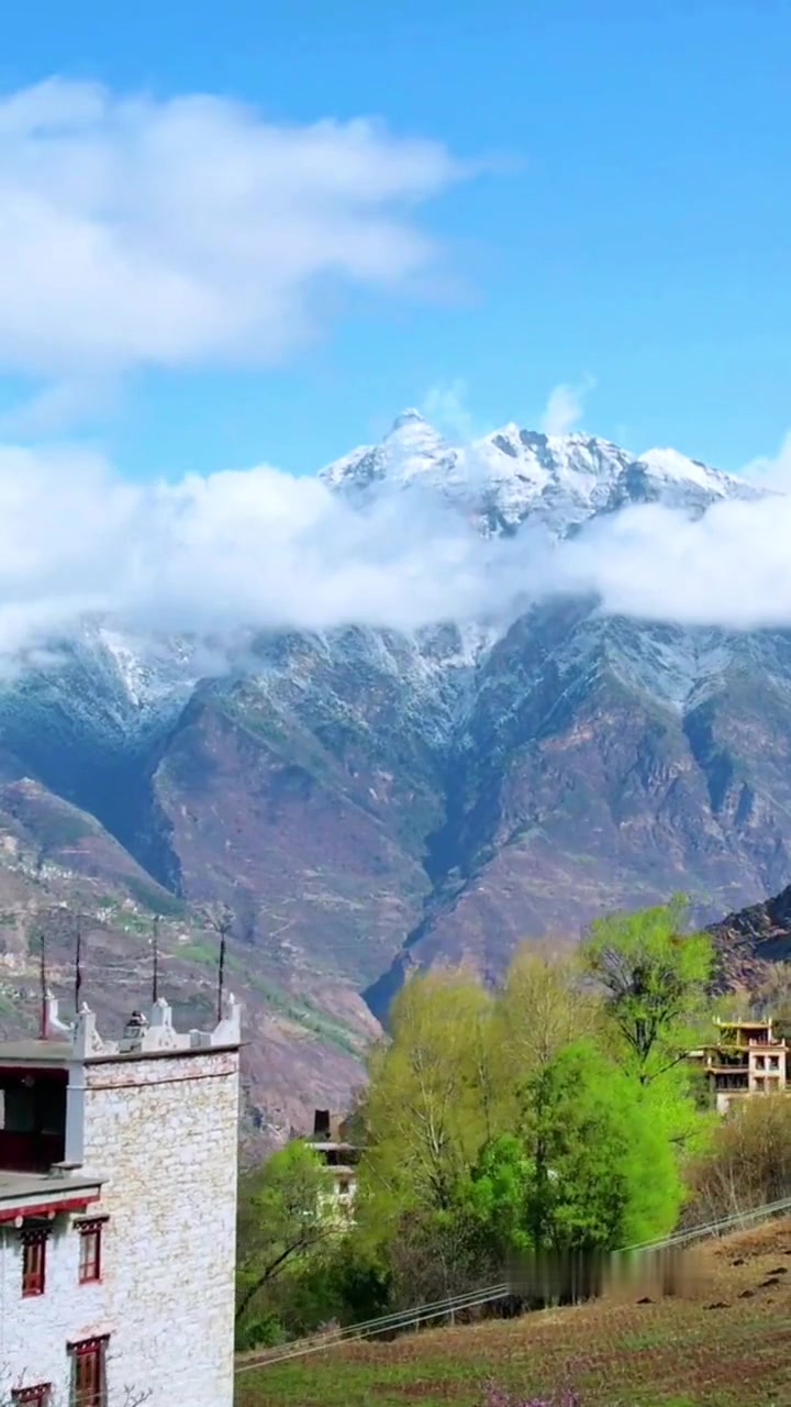 丹巴梨花盛开,墨尔多神山下美女载歌载舞迎远客