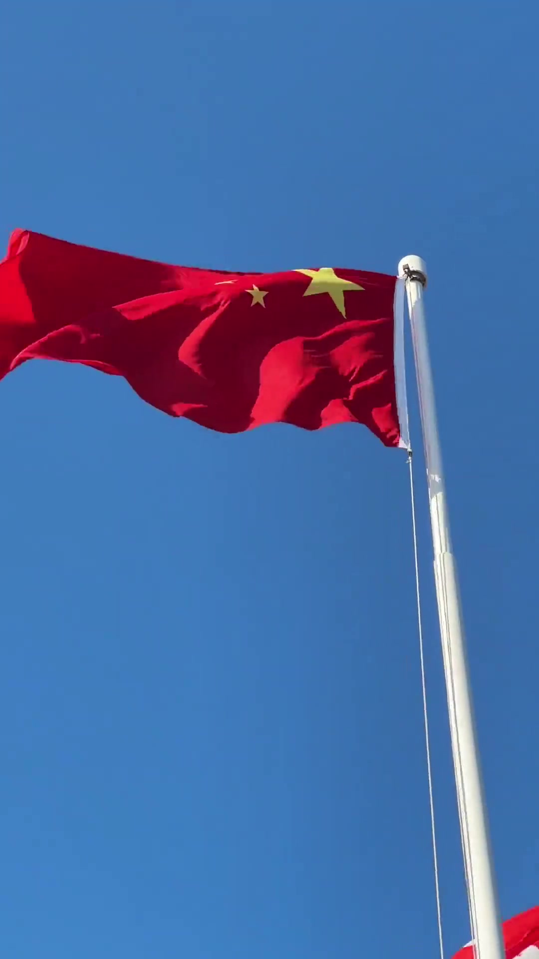 每天8点国旗准时在金紫荆广场升起