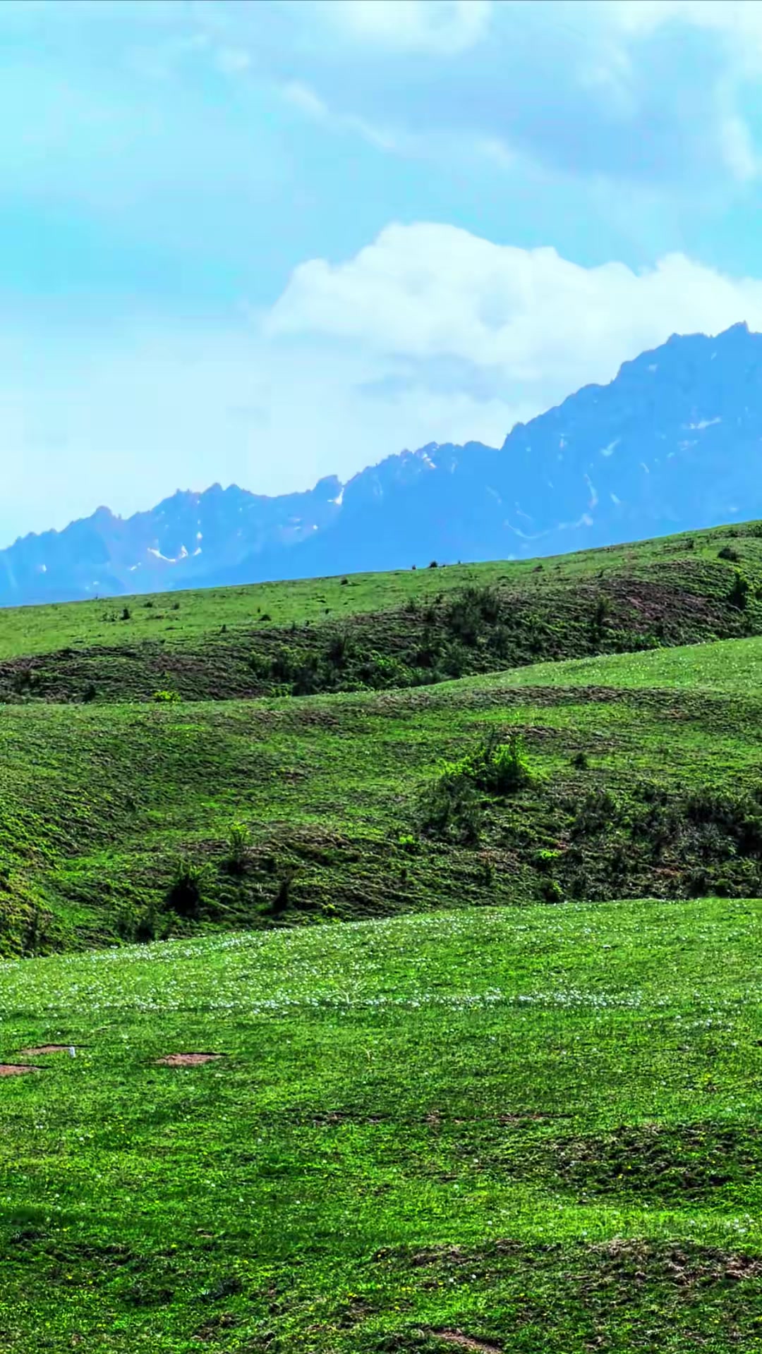 假期旅行,山清水秀,草原之夏!旅游推荐