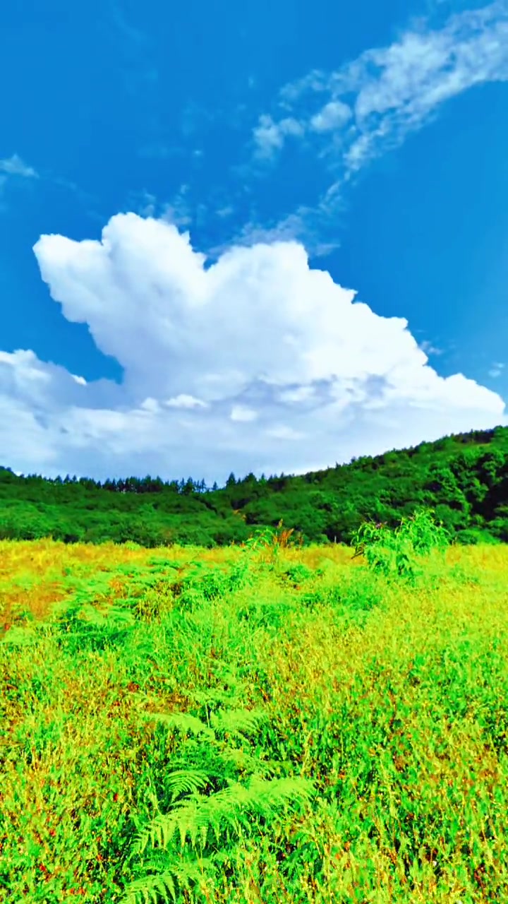 蓝天白云绿草地,随拍治愈系自然风光