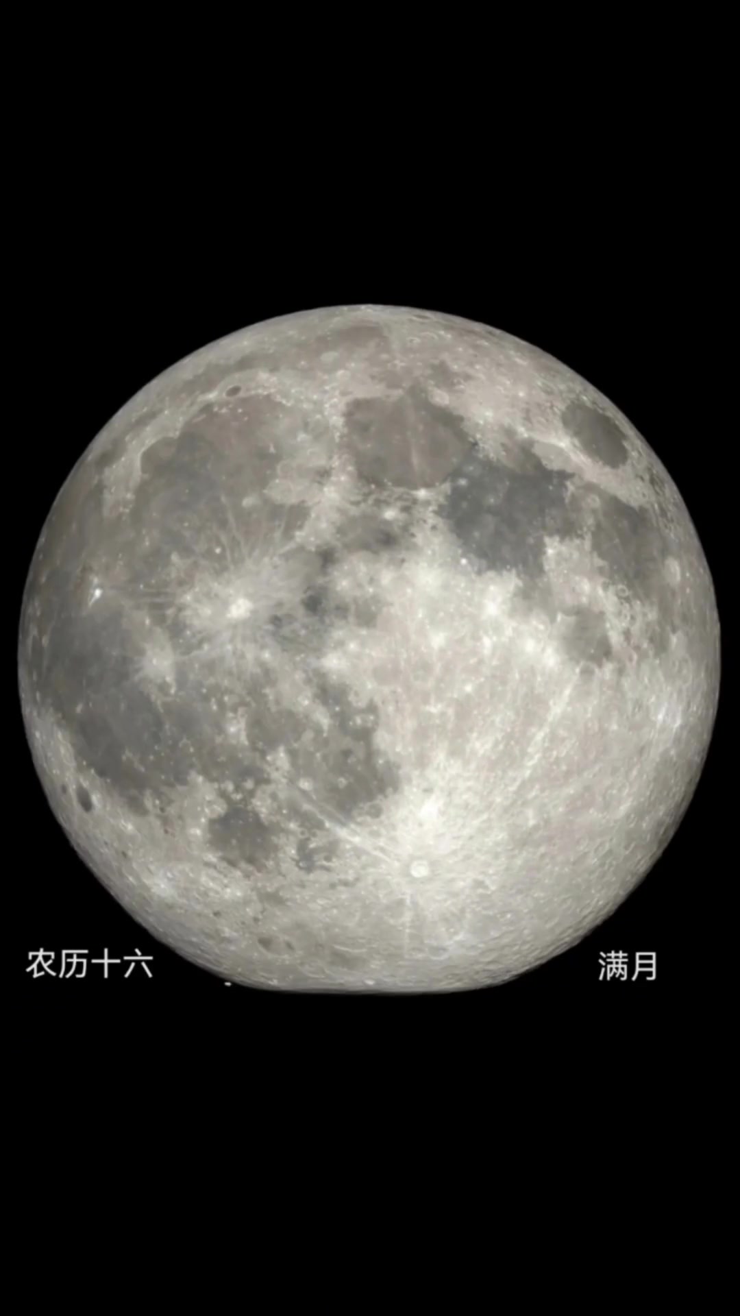 月亮从新月,满月,残月的变化过程