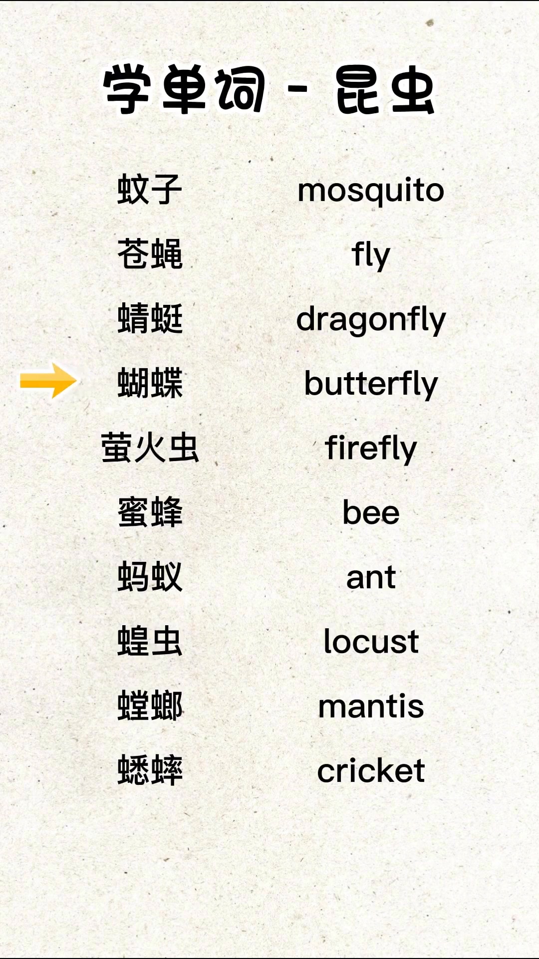 了解昆虫的英文,一起涨知识