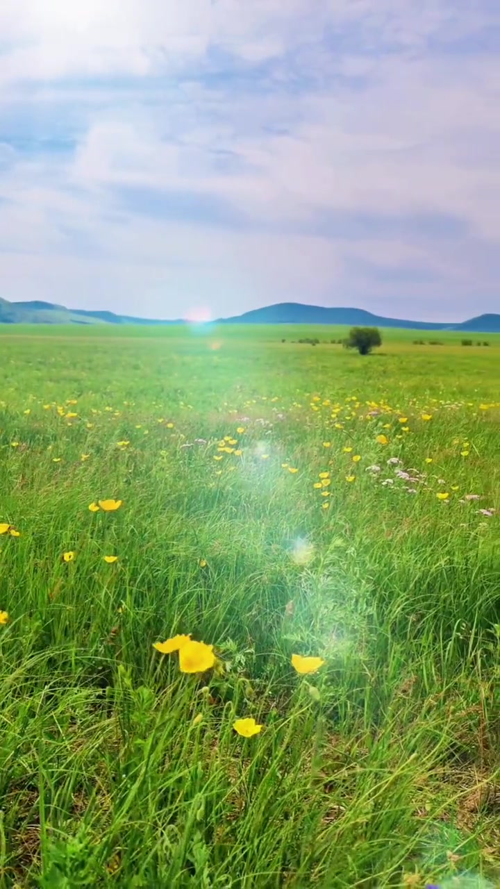 带你领略呼伦贝尔大草原的美丽风光