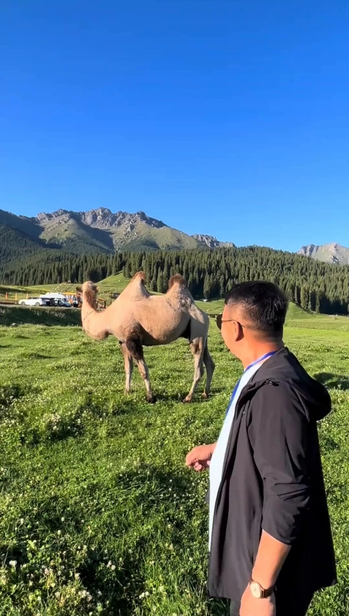 两个老汉在江布拉克游玩,玩得超美
