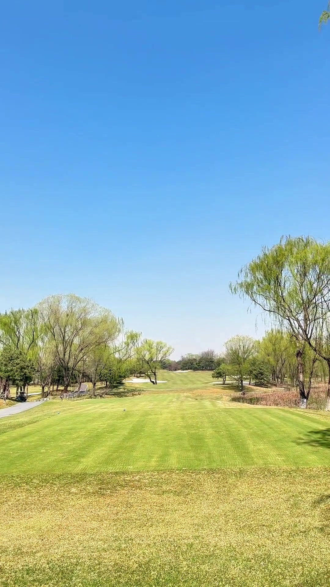 清河湾风光秀丽,介绍当地自然美景
