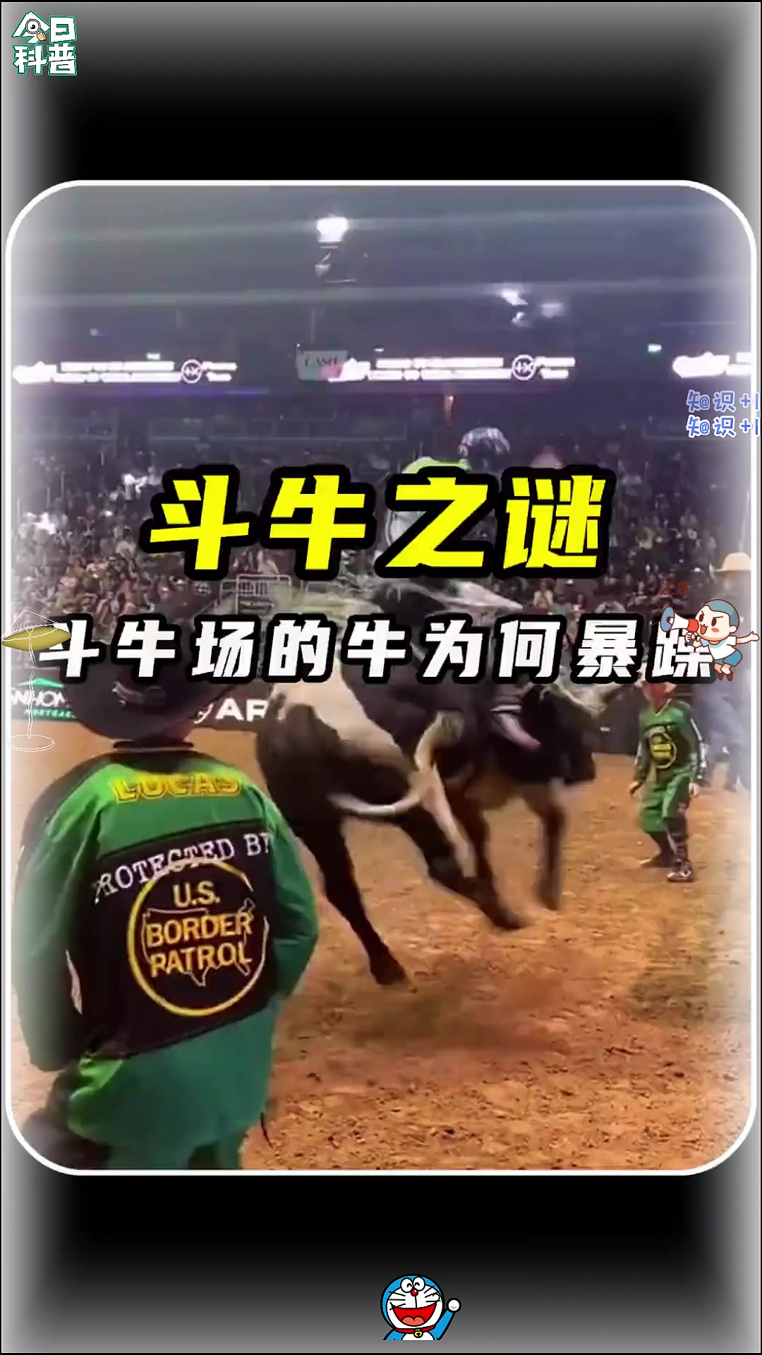 牛为什么有四个胃百科在线 牛为什么有四个胃百科在线