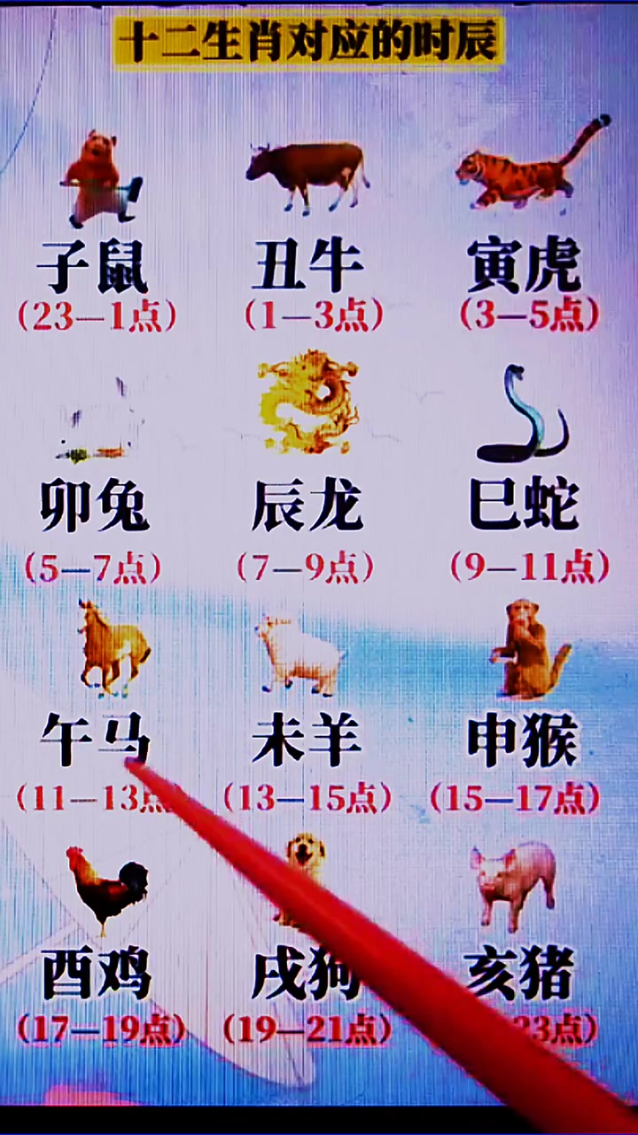 十二生肖运势大全图解(十二生肖运势图片)