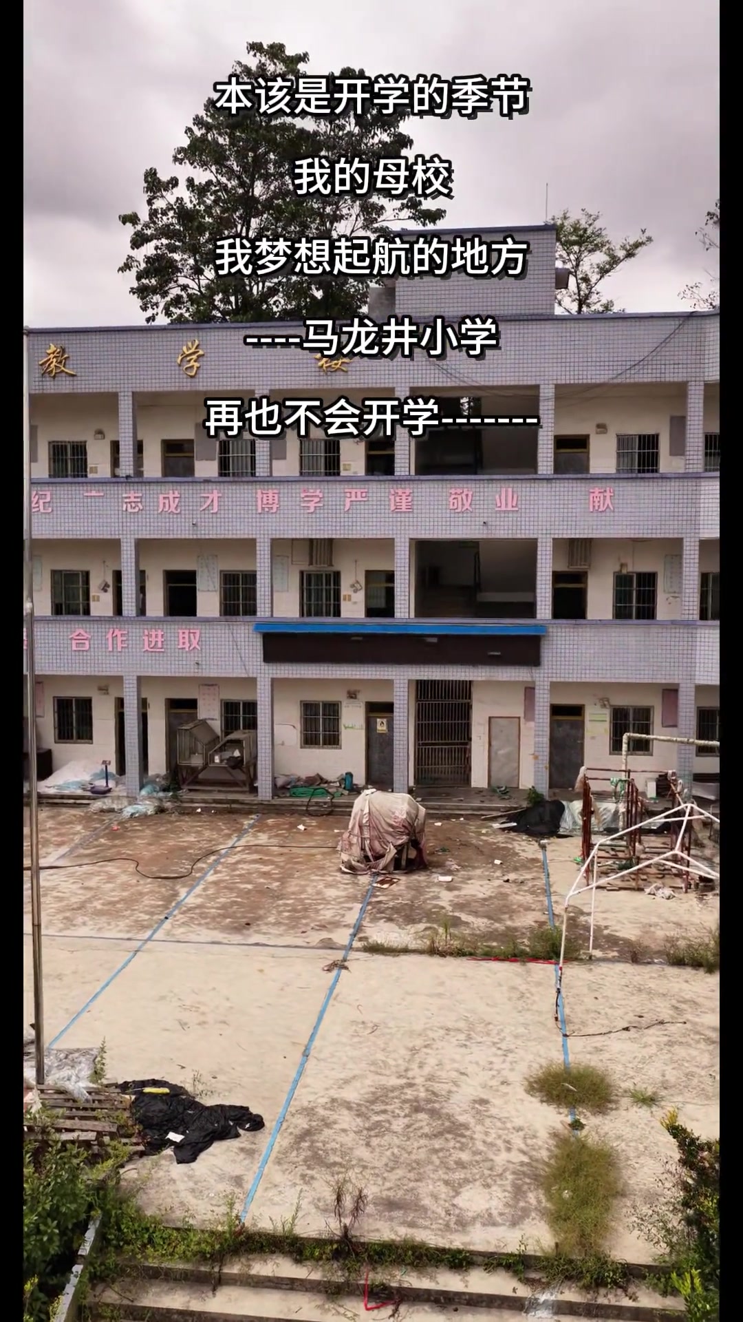 同学们常回母校看看,那里满是童年回忆