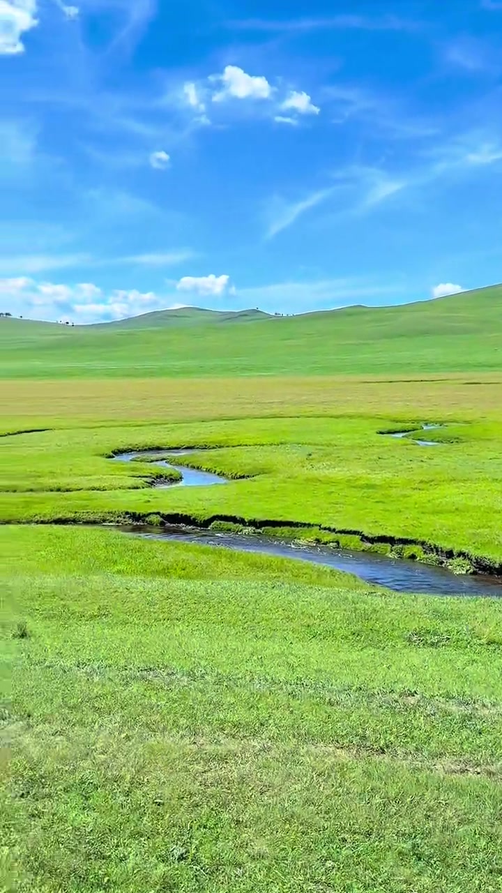 美丽夏天,草原那无限迷人的风光