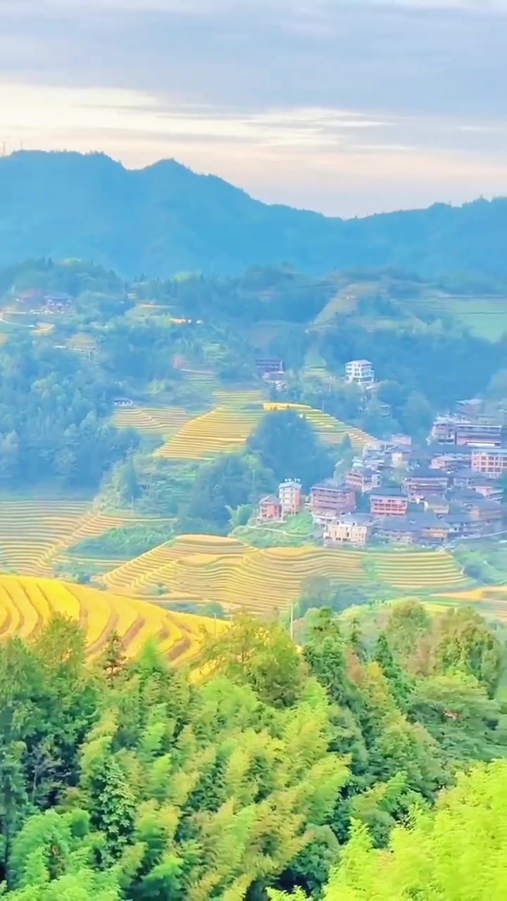 广西龙胜的10月龙脊梯田是醉美的时候!