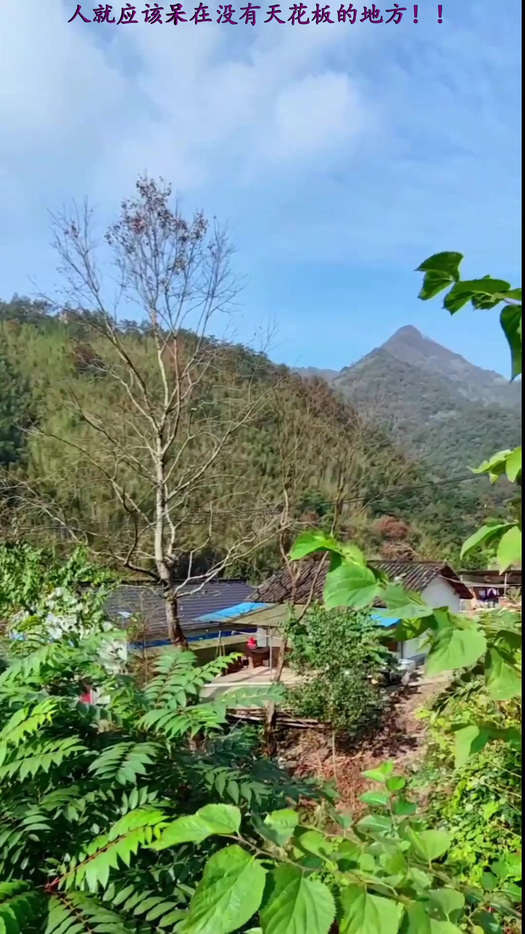 秋天来旅游,泾县榔桥镇百户坑位于泾县榔桥镇马渡村,平均海拔在