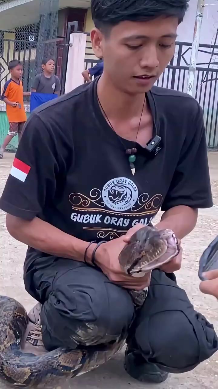 蟒蛇的牙齿太可怕了,究竟长啥样?