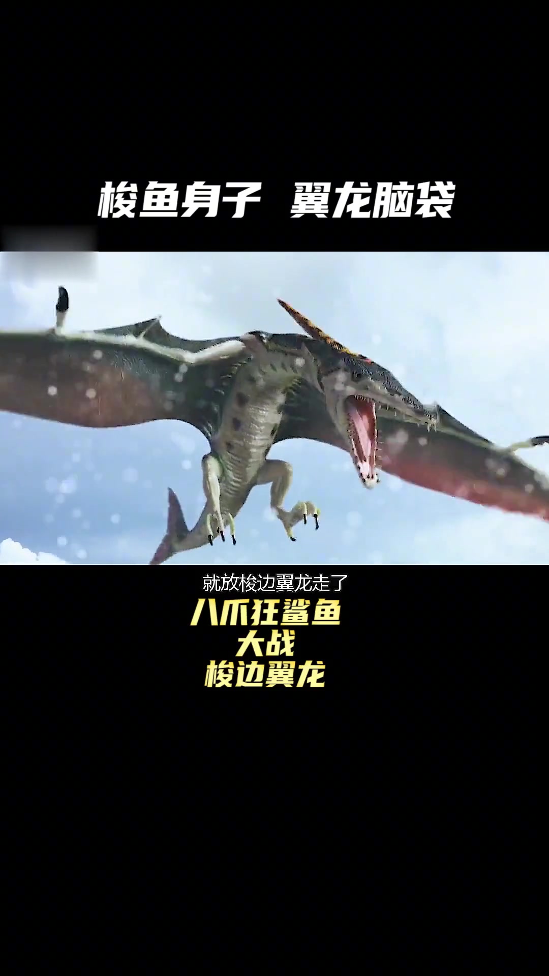 长着梭鱼身子和翼龙脑袋的神秘形象