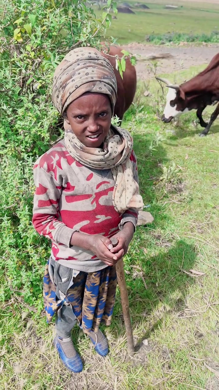 放牛资历最深的埃塞俄比亚女孩