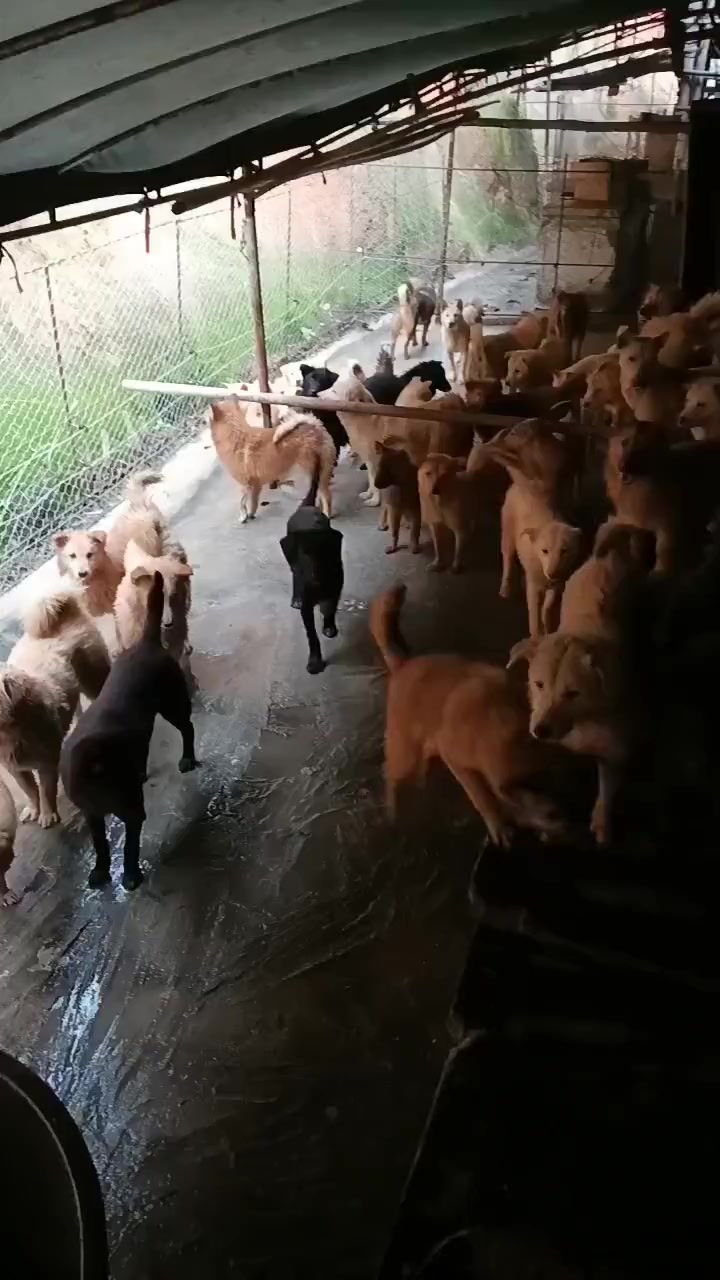 邮储银行“养华体会- 华体会体育官网- 华体会体育APP下载龙虾”了！