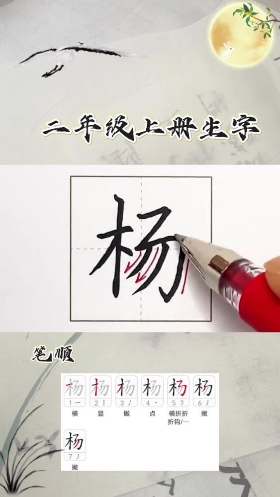 二年级生字‘杨’怎么写?笔顺田字格要点,教育,k12教育,好看视频